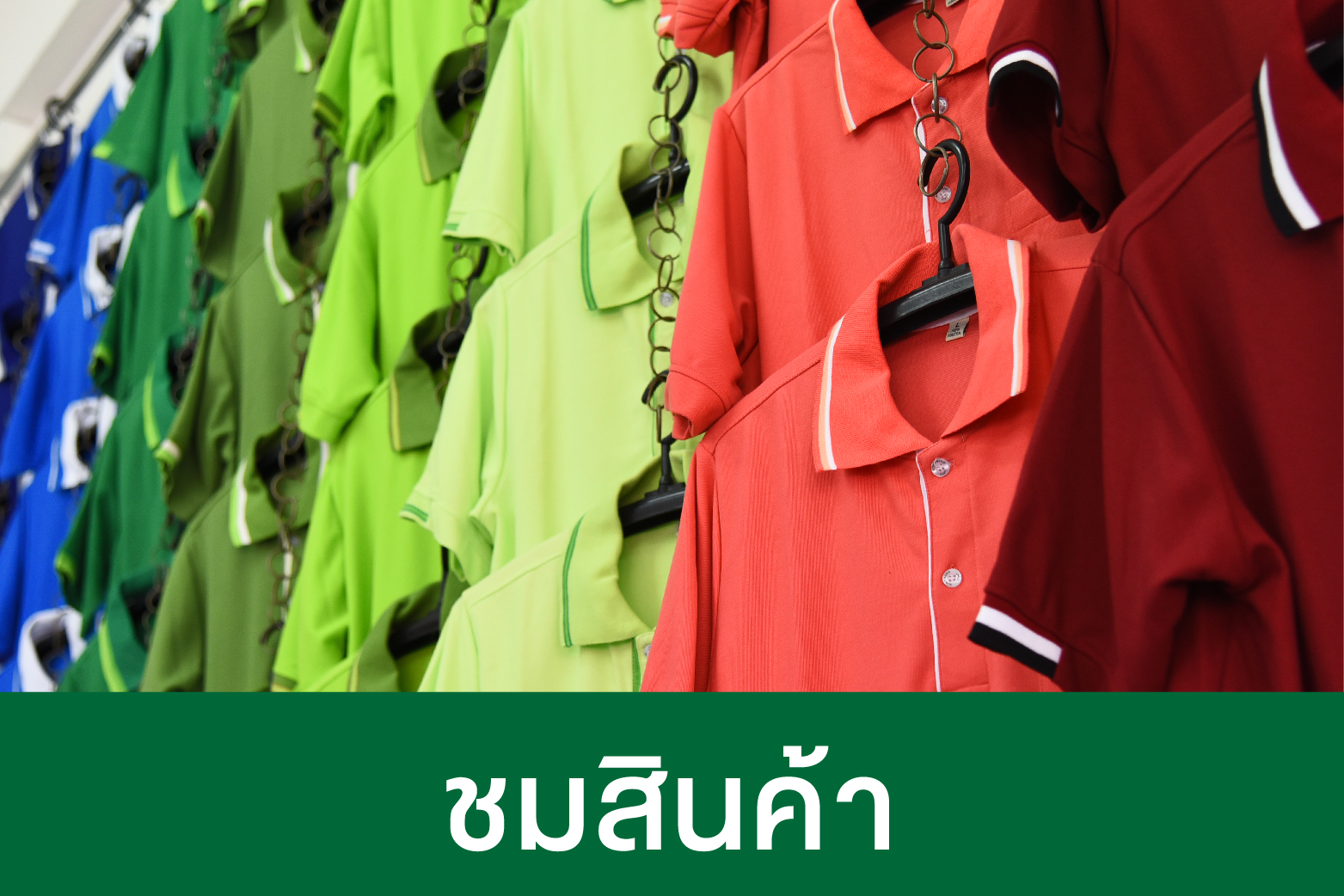 Wasunpas Polo-02